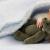 Что означает крыса в сновидениях и как распознать верное значение
